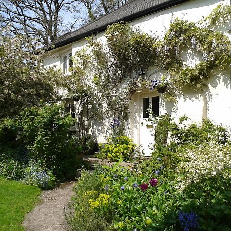 Tracebridge Cottage B&B Stawley Dış mekan fotoğraf